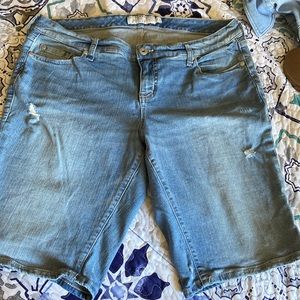 Torrid jean beemudas